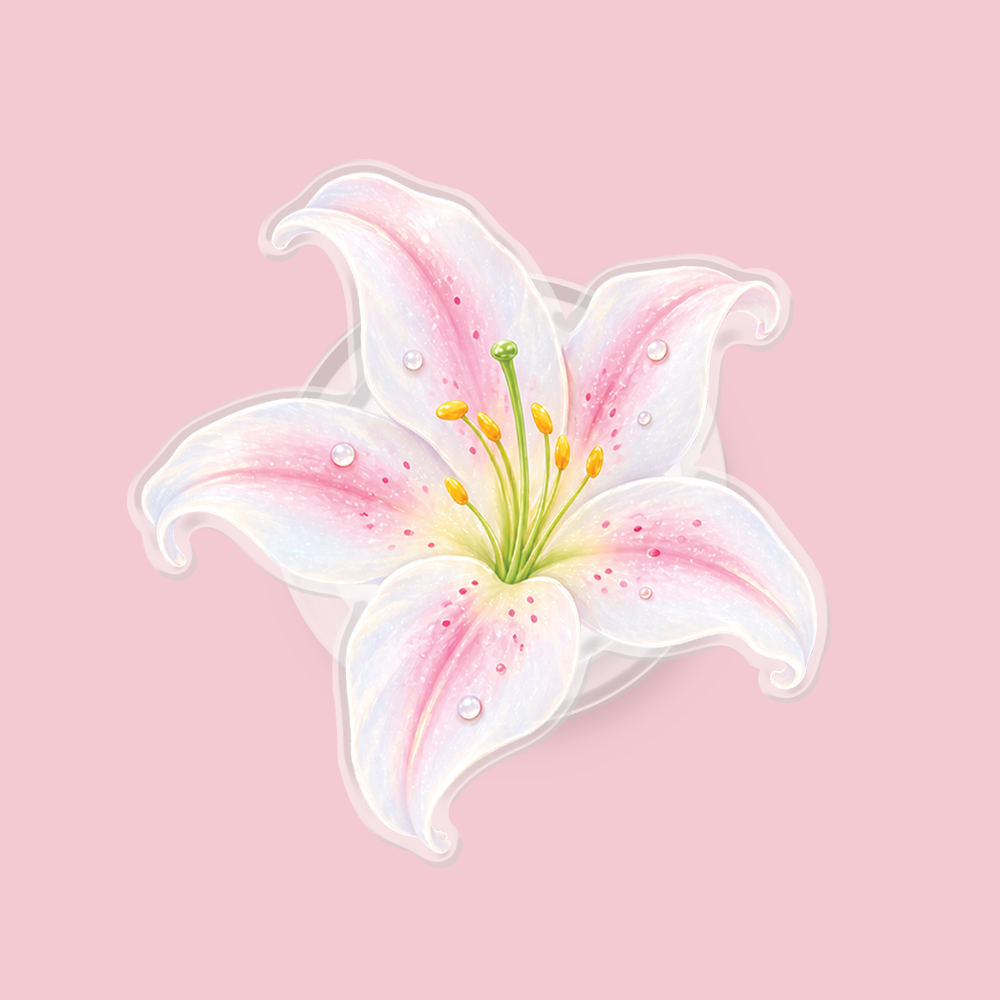Aura Lily