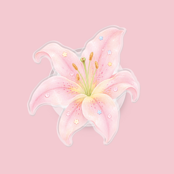 Dreamy Lily