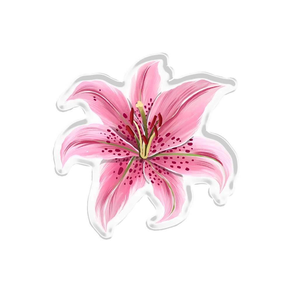 Lily Popup Stand Acrylic