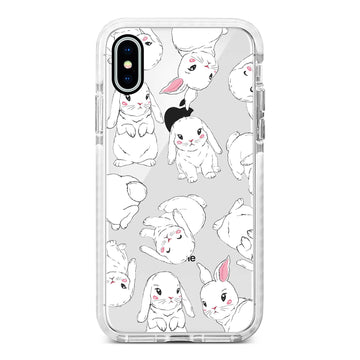 Case Rabbit 10